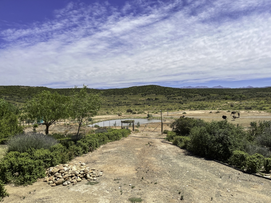 16 Bedroom Property for Sale in Oudtshoorn Rural Western Cape